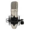 Devine BM 100 Condenser Microphone (New)