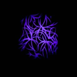 Vari*Lite VL6C Ultimate Collectors Edition (LED) -Trendy Winkel Voor Audiobenodigdheden Varilite VL6C Ultimate Collectors Edition LED 17