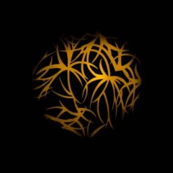 Vari*Lite VL6C Ultimate Collectors Edition (LED) -Trendy Winkel Voor Audiobenodigdheden Varilite VL6C Ultimate Collectors Edition LED 21