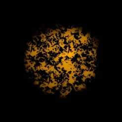 Vari*Lite VL6C Ultimate Collectors Edition (LED) -Trendy Winkel Voor Audiobenodigdheden Varilite VL6C Ultimate Collectors Edition LED 22